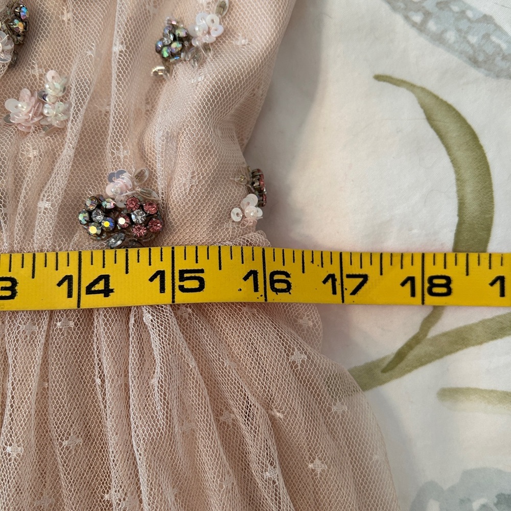 Needle & Thread “Neve” Blush Embellished Gown - Picture 10 of 14
